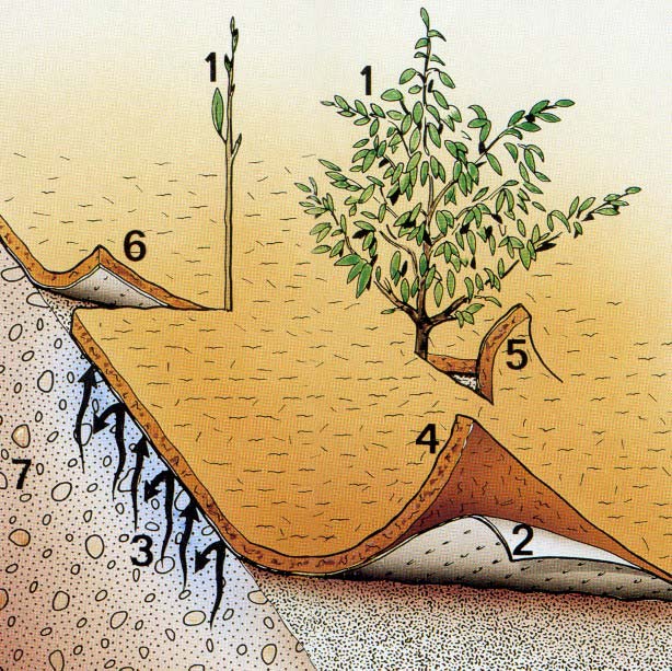 Structure of the Mulchmats